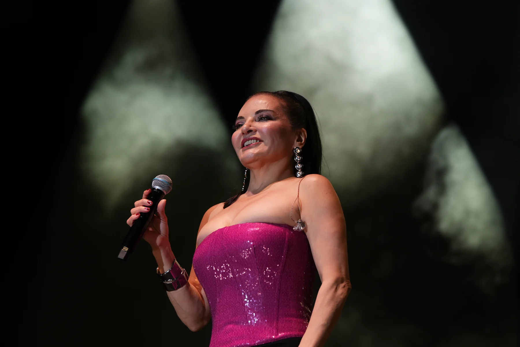 Festivalin gece konserinden bir an