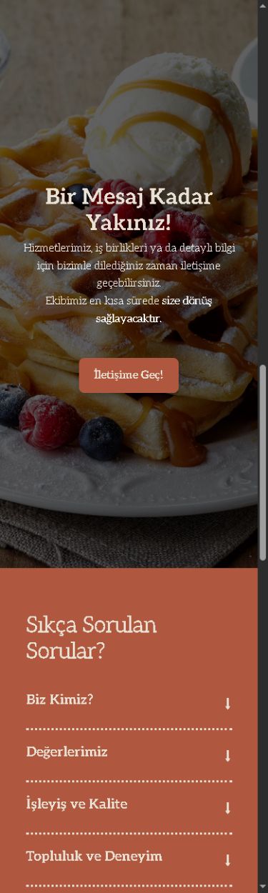 Morniva web sitesi mobil görünümü, bölüm 3