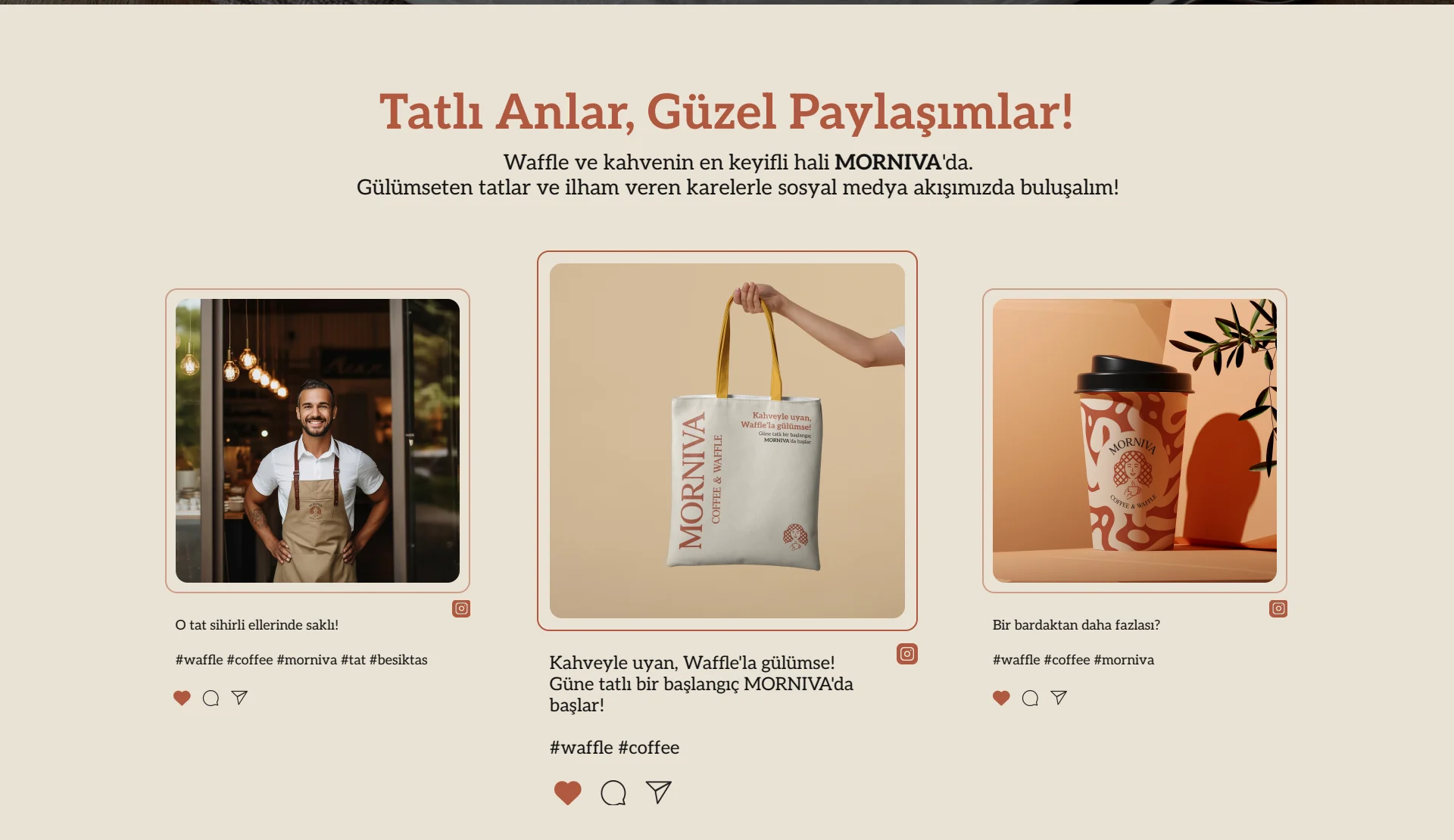 Morniva web sitesi marka içerikleri bölümü